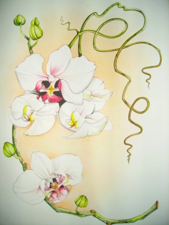 orchidée douce et élancée,reliée par un bois torturé et immature